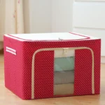 66L Stoarge Organiser