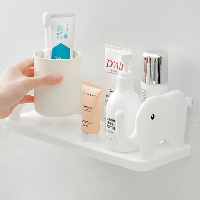 Bathroom Shelf