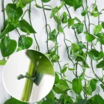 Plant Clip