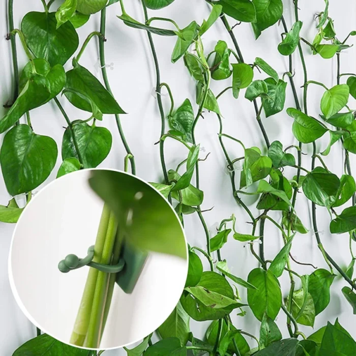 Plant Clip