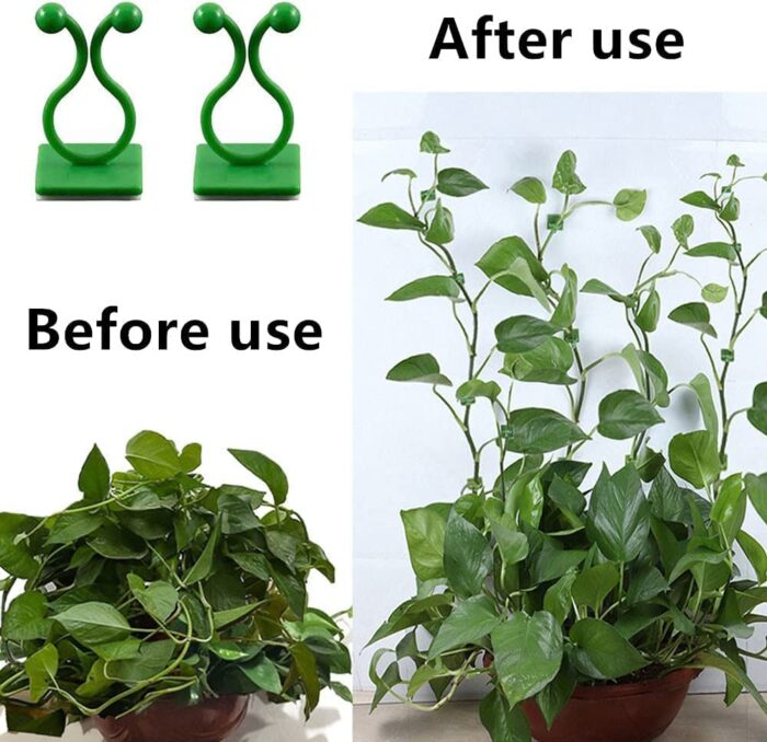 Plant Clip
