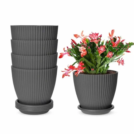 Flower Pot