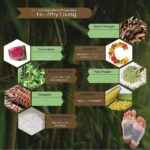 Kinoki Detox Patches